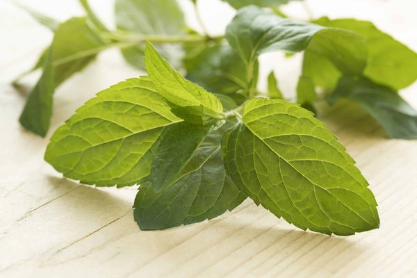 Les critères indispensables à prendre en compte pour faire le bon choix de chocolat