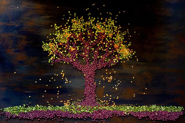 Les essentiels pour une cuisine végétalienne bien équipée